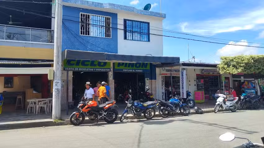 Almac&eacute;n Ciclo Pi&ntilde;&oacute;n