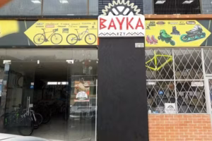 Bayka Bzy