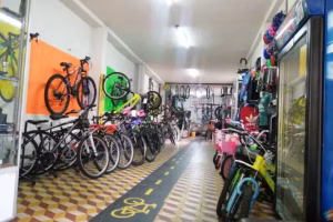Bayona Bikes