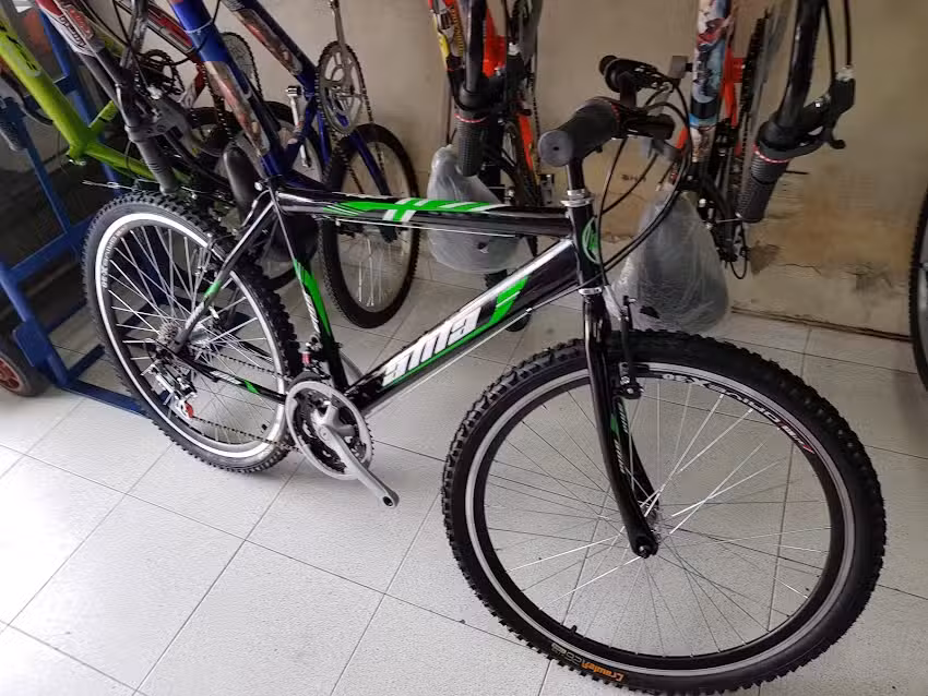 bic-xtrema