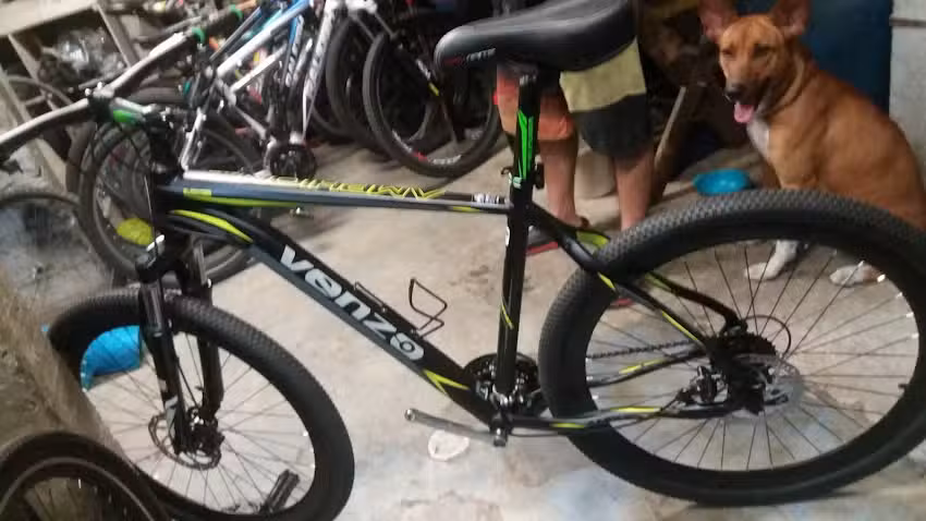 Bici Smith