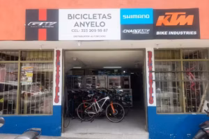 Biciangelo