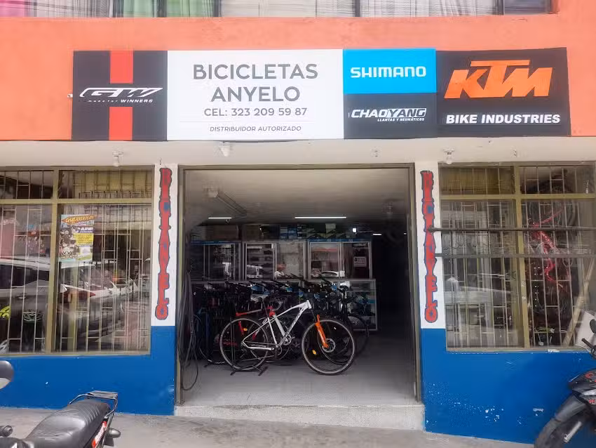 Biciangelo