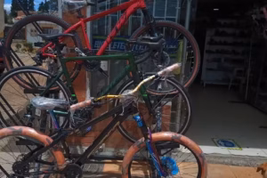 Bicicletaria Ciclo Braun