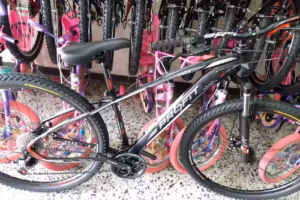 Bicicletas El Campeón OP