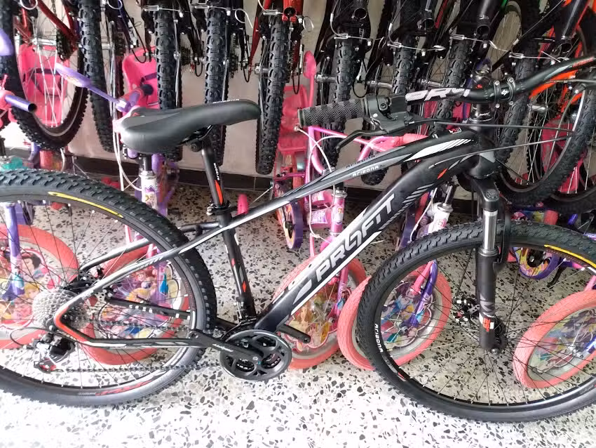 Bicicletas El Campe&oacute;n OP