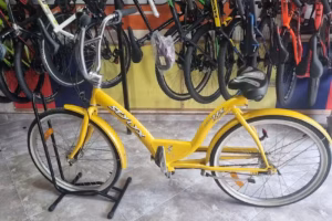 Bicicleter&iacute;a Bici-Williams