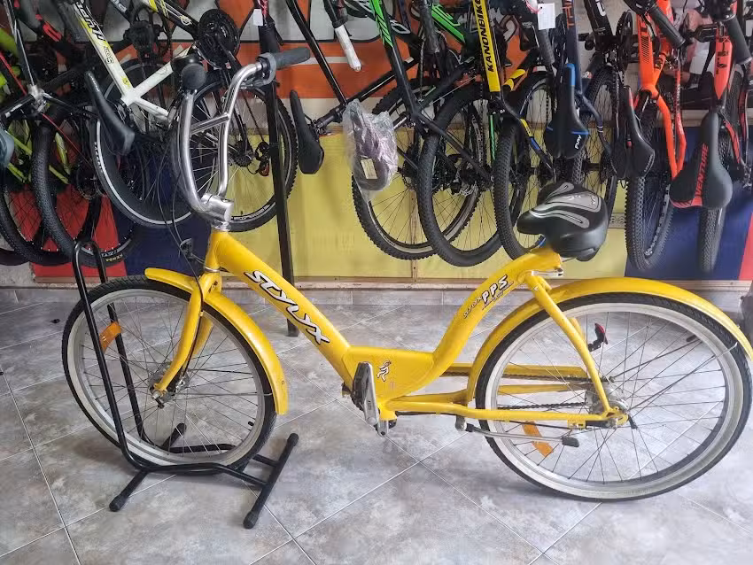 Bicicleter&iacute;a Bici-Williams
