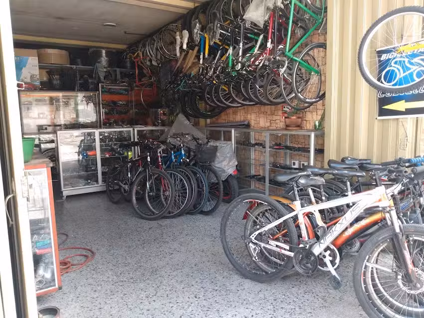 Bicicleter&iacute;a Castelly