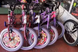 Bicicleter&iacute;a ciclo Clementt