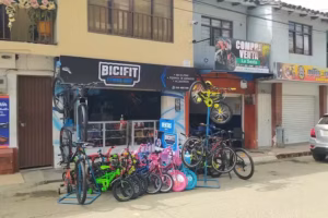 Bicifit