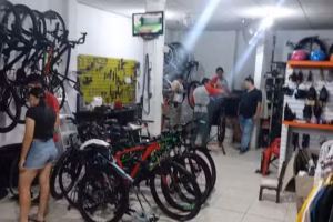 Bicitecnia