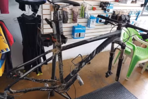 Bike fish