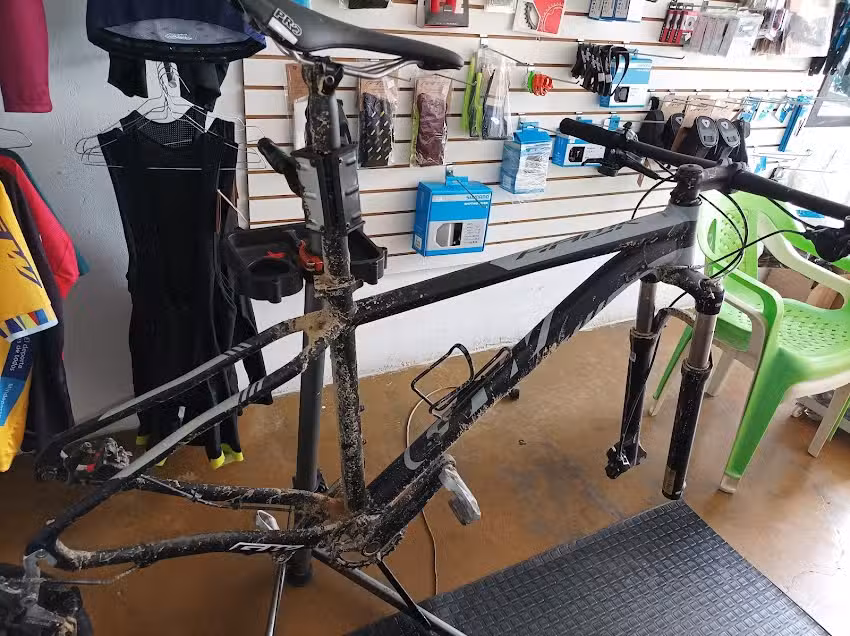 Bike fish