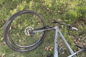 Bike Shop Bicicleteria