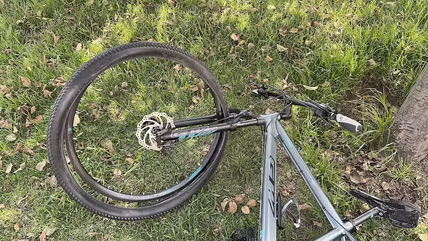 Bike Shop Bicicleteria