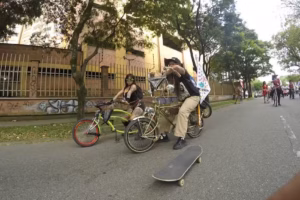 Chicaneras Low Bikes