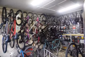 Ciclo Albert