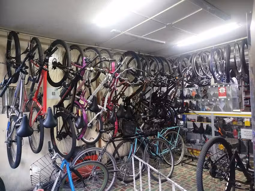 Ciclo Albert