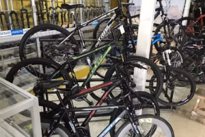 Ciclo Benotto