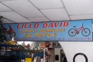 Ciclo David
