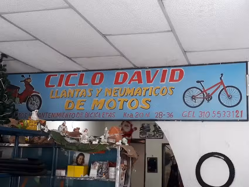 Ciclo David
