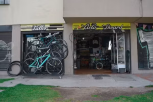 Ciclo Dicard