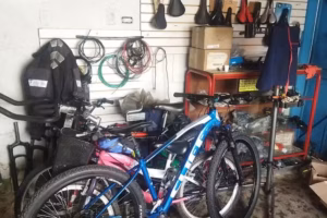 Ciclo Maicol