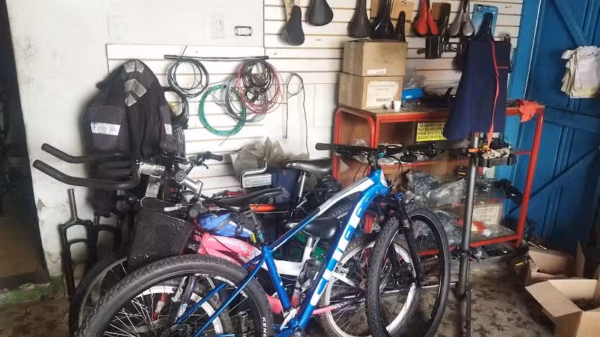 Ciclo Maicol
