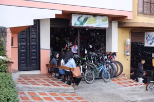 Ciclo Mincho