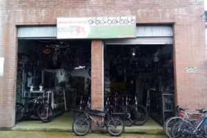 CICLO REY