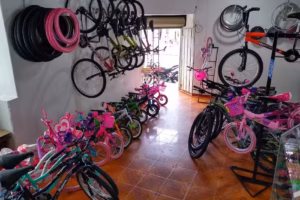 Ciclovalenzuela