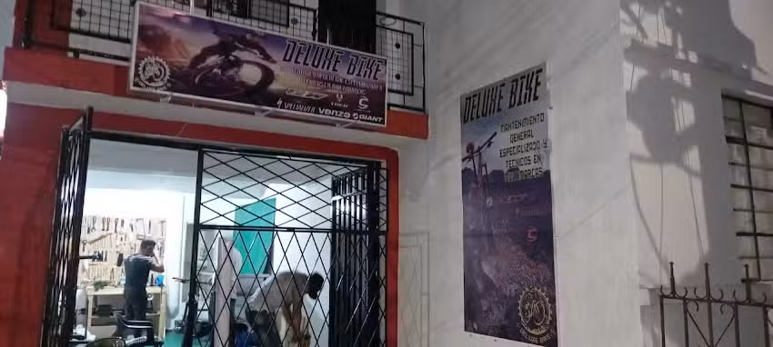 Deluxe Bike