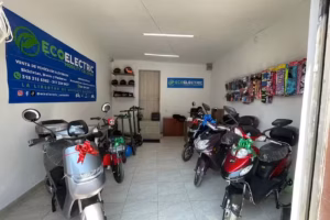 EcoElectric Mobility