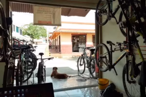 El garaje MTB