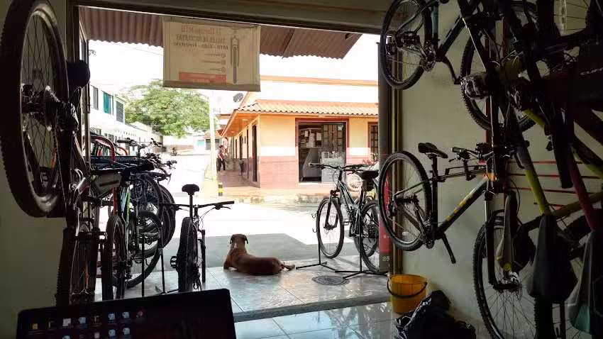 El garaje MTB