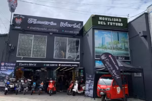 ELECTRIC WORLD