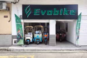 Evobike Palmira Mg