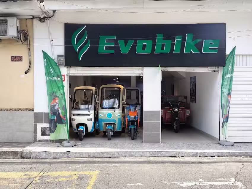 Evobike Palmira Mg