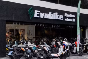 Evobike pipe bueno y luisa w