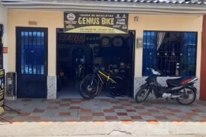genius bike