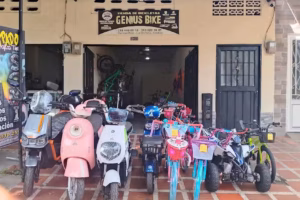 GENIUS BIKE BICYCLES