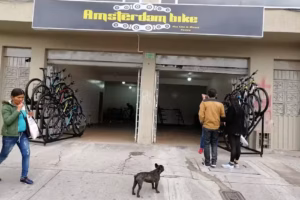 Industrias Amsterdam Bike