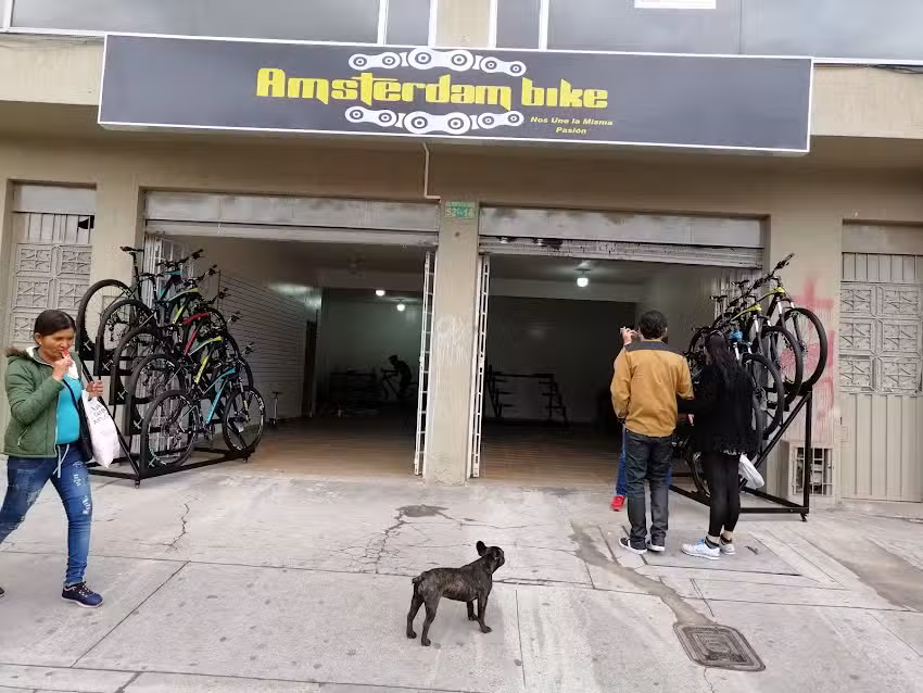 Industrias Amsterdam Bike