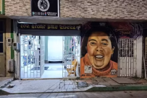 Mulos Store