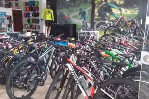 Palma Bike