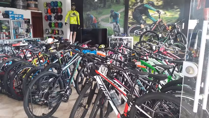 Palma Bike