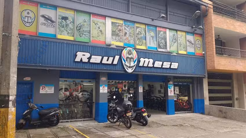 Raul Mesa