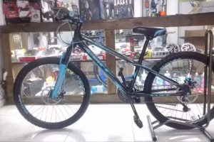 Rhino Bike
