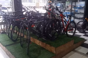 Roca Bike Store